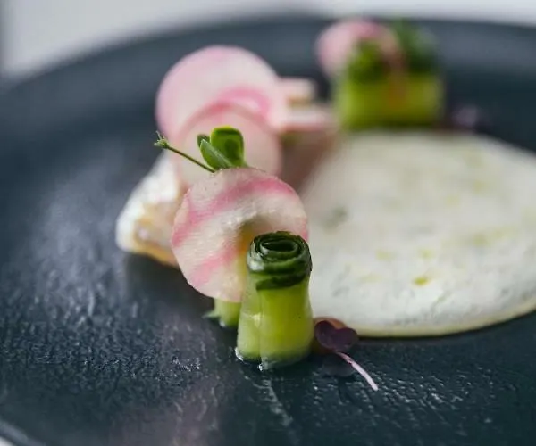 The Crystal Vaya Unique